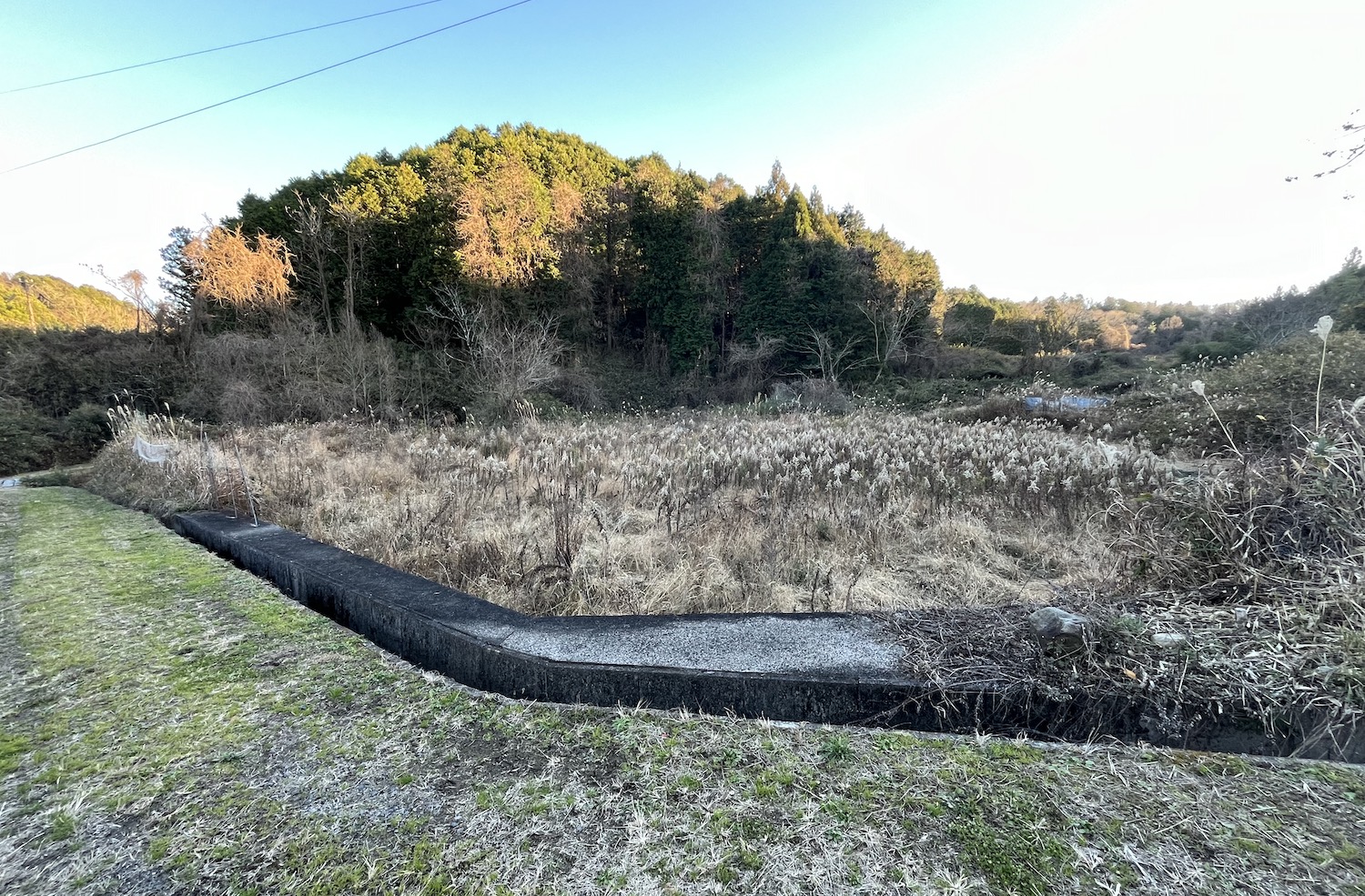 太陽光用地